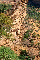 Bandiagara escarpment, looking down onto ancient Tellem tombs. Mali, 2005-2006.