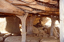 Interior of Dogon shrine. Mali, 2005-2006.