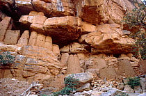 Bandiagra escarpment dwellings. Mali, 2005-2006.