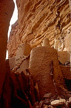 Bandiagara escarpment, Dogon country. Mali, 2005-2006.