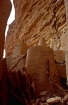 Bandiagara escarpment, Dogon country. Mali, 2005-2006.
