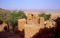 Dogon dwellings on escarpment. Mali, 2005-2006.