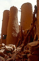Dogon mud  grain silos. Mali, 2005-2006.