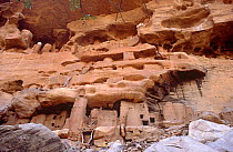 Ancient Tellem dwellings amongst rocks, Bandiagara, Mali, 2005-2006.