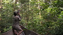 Man in a boat shooting a Golden-bellied mangabey (Cercocebus chrysogaster) whilst on a bush meat hunt, Democratic Republic of Congo, 2008.