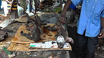 Bushmeat for sale at Brazzaville market, footage filmed covertly, Republic of the Congo, 2013.