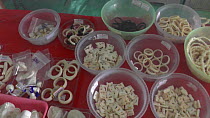 Fake ivory jewelry made from plastic for sale in a shop, Nakhon Sawan, Thailand, 2013.