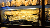 Carved elephant ivory for sale in a shop on Nathan Road, Kowloon, Hong Kong, December 2012.