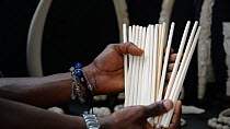 Man showing ivory chopsticks for sale in the back of a car in Kinshasa market to the camera, Democratic Republic of the Congo, May 2012.