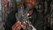 Traditional medicine trader holding a pair of Western lowland gorilla (Gorilla gorilla gorilla) hands and talking to the camera about and what they are used for, Libreville, Gabon, 2008.