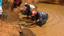 Miners panning for diamonds in a pool, Kono District, Sierra Leone, 2007.