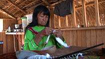 Shipibo-Conibo woman preparing cotton on a spindle to weave a traditional fabric, near Pulcalpa, Peru, 2009.