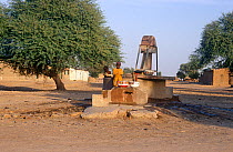 Girls at village well collecting water, Chad, 2002-2003.