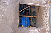 Boy looking out of window, son of village shopkeeper. Chad, 2002-2003.