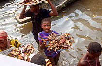 Villagers selling smoked fish and crabs, Sherbro island, Sierra Leone, 2004-2005.