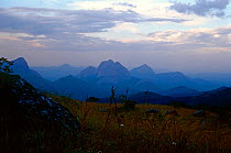 Loma mountains and Bintumani, viewed from Sankanbiriwa. Sierra Leone, 2004-2005.