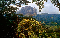Mountain peaks viewed on the hike to climb Sankanbiriwa, Sierra Leone's second highest peak. Sierra Leone, 2004-2005.