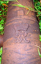 17th century British cannons at Bunce Island slave trading fort. Sierra Leone, 2004-2005.