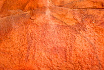 Ancient rock painting of animal figure, Guilemsi, central Mauritania, 2004.