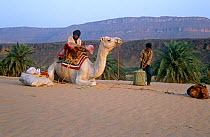 Guide and young boy with camel in wadi near Atar, Mauritania, 2005.