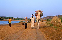 Guide and young boys with camel in wadi near Atar, Mauritania, 2005.