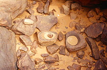 Abandoned artifacts including milling stones, Guilemsi, central Mauritania, 2005.