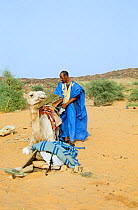 Guide with his camel near Rachid, central Mauritania, 2004.