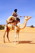 Desert guide riding camel, central Mauritania, 2004.