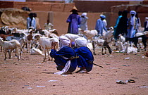 Tuareg traders at cattle market, Agadez, Niger, 2005.