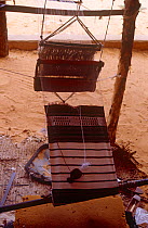 Weaving on six inch loom. National Museum, Niamey, Niger, 2004.