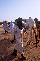 Tuareg camel owner at Agadez market, Niger, 2005.