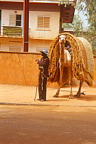 Street vendor with camel transport, Niamey, Niger, 2003.