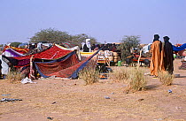 Peul / Fula people gathering for ritual ceremonies, Agadez region, Niger, 2005.