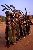 Men dressed up, performing in traditional Peul / Fula ceremony, Ngarawal Fuduk, near Agadez, Niger, 2005.