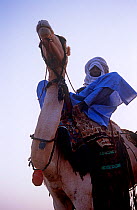 Camel rider at Ngarawel Fuduk, near Agadez, Niger, 2005.