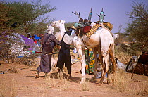 Peul / Fula people with camel, Ngarawal Fuduk near Agadez, Niger, 2005.