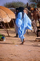 Peul / Fula people and camels outside hut, Ngarawal Fuduk near Agadez, Niger, 2005.