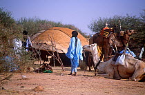 Peul / Fula people outside hut, Ngarawal Fuduk near Agadez, Niger, 2005.