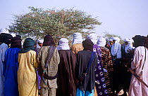 Gathering of Peul / Fula people for ceremony, Ngarawal Fuduk near Agadez, Niger, 2005.