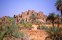 Ancient fort and oasis at Segedine on the desert trail to southern Libya. Niger, 2005.