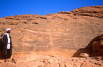 Guide stood by rock art depicting human and animal figures, northern Niger, 2005.