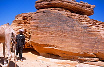 Guide and camel stood by rock carvings of elephants, northern Niger, 2005.