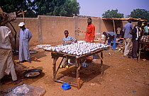 Stall at Mirriah fish market, southern Niger, 2005.