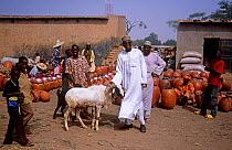 Market traders with goat and terracotta pots, Mirriah market, southern Niger, 2005.