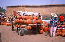 Terracotta pots at Mirriah pottery market, Niger, 2005.