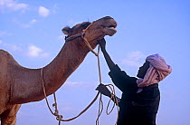 Guide and camel in the Sahara, Niger, 2005.