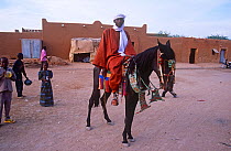 Lone Kanuri horseman, Agadez, Niger, 2005.