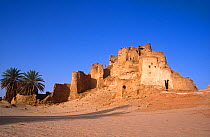 Ancient abandoned fort that once guarded trade routes. Northern Niger, 2005.