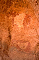 Ancient rock paintings of cattle, Cole De Sera, Niger, 2005.
