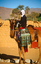 Tuareg camels and rider at the Iferouane festival, central Niger, 2005.